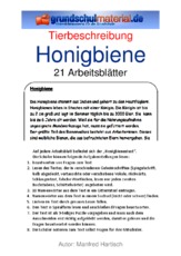 Honigbiene.pdf